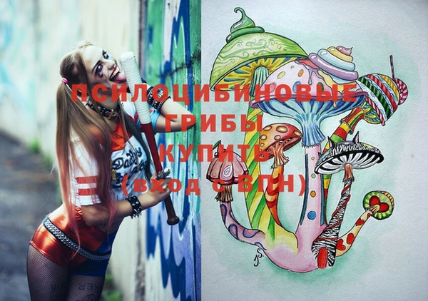 мдпв Сясьстрой