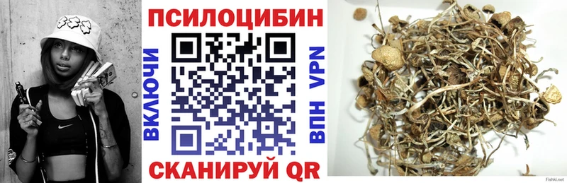 Псилоцибиновые грибы Magic Shrooms  Купить закладки  Староминская 
