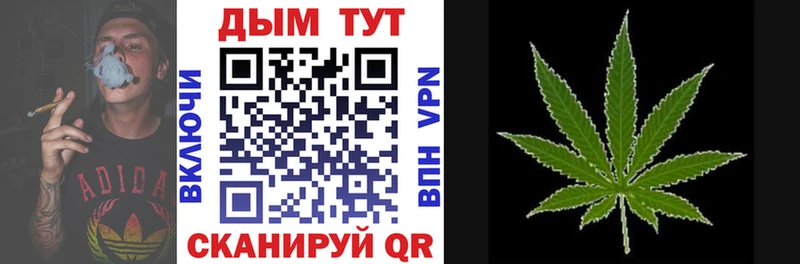 Канабис сатива  Купить где  Староминская